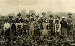 Two rows of farm workers of different races and genders pose for a portrait in a field. 